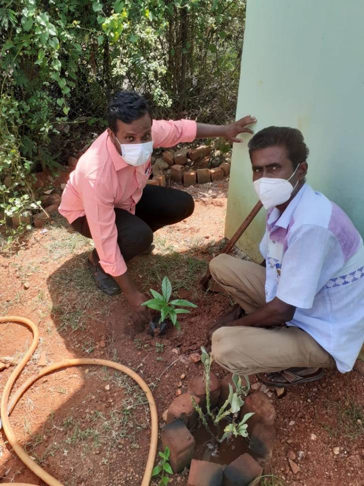 வல்லநாடு அரசு ஆரம்ப சுகாதார நிலையத்தில் மூலிகை மரக்கன்றுகள் நடும் விழா