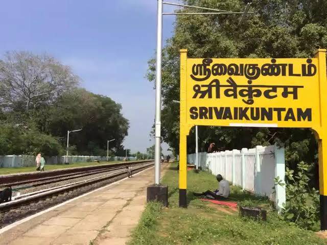 நெல் பயிர்களில் குருத்துப்பூச்சி தாக்குதலை கட்டுப்படுத்திட விவசாயிகளுக்கு அறிவுறுத்தல்!