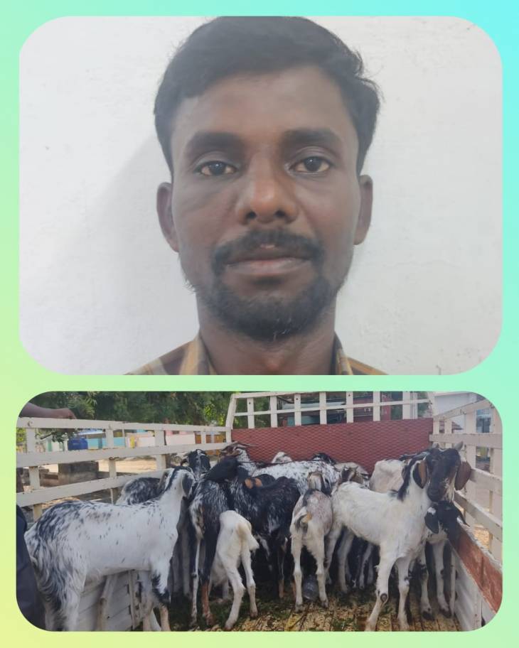 வேப்பலோடை கிராமத்தில் 39 ஆடுகளை திருடியவர் கைது!