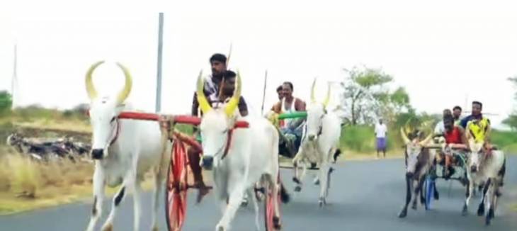 ஓட்டப்பிடாரம் அருகே மாட்டு வண்டி பந்தயம்

