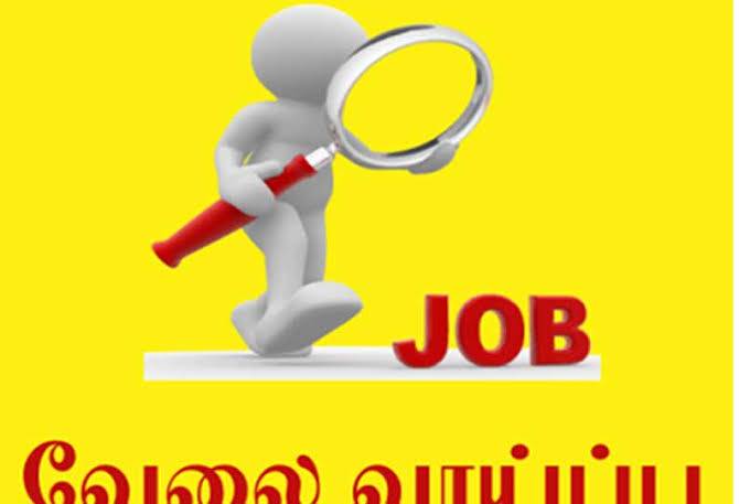 தூத்துக்குடியில் வேலைவாய்ப்பு முகாம்!