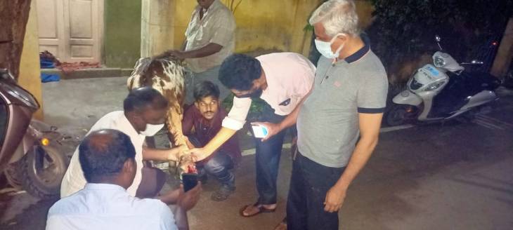 காயம் பட்டு உயிருக்கு போராடிய கன்று : உதவிய தூத்துக்குடி மாவட்ட காவல்துறை!