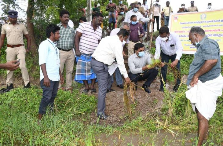 கருங்குளம், கயத்தாறு பகுதிகளில் கன மழையால் பாதிக்கப்பட்ட பயிர்களை மாவட்ட ஆட்சியர் நேரில்  ஆய்வு!