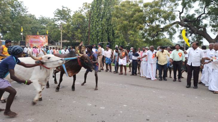 வீரபாண்டிய கட்டபொம்மன் பிறந்தநாள் விழா : முத்தையாபுரம் மாட்டுவண்டிப் பந்தயத்தில் காளைகள் சீறிப்பாய்ந்தன!