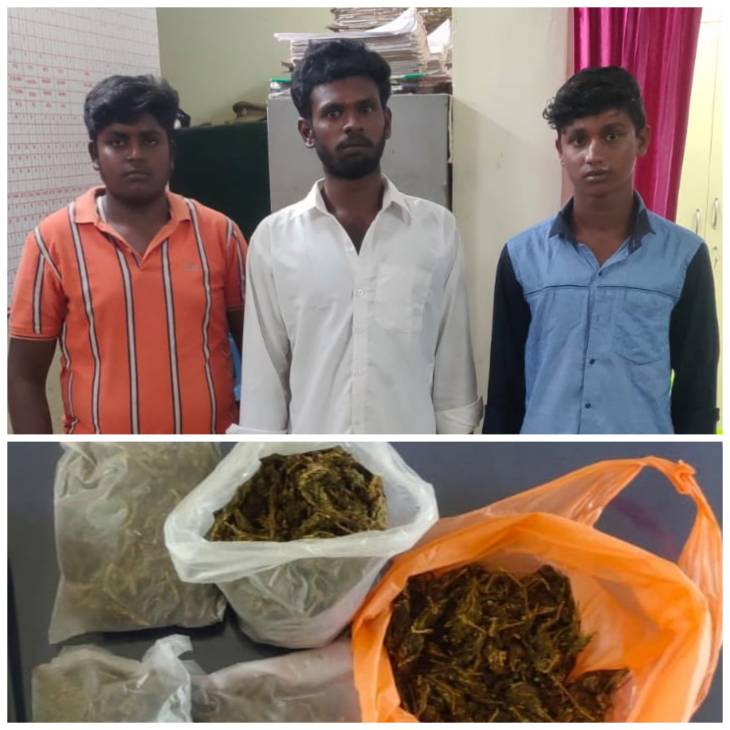 செய்துங்கநல்லூர் : கஞ்சா விற்பனையில் ஈடுபட்ட பிரபல ரவுடி உட்பட 3 பேர் கைது!

