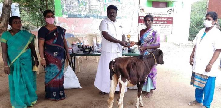 தூத்துக்குடி : கோழிகளுக்கு கழிச்சல்நோய் தடுப்பூசி முகாம்
