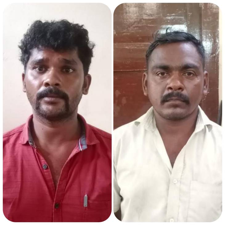 மீளவிட்டான் பகுதியில் மேய்ச்சலில் இருந்த ஆடுகளை திருடிய 2 பேர் கைது - ₹ 30,000 மதிப்பிலான 2 ஆடுகள் பறிமுதல்!