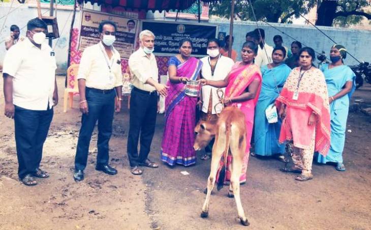 கால்நடைகளுக்கு செயற்கை முறை கருவூட்டல் மருத்துவ முகாம்!

