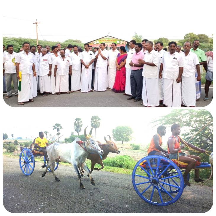 புதூர் மாட்டு வண்டி பந்தயம் - விளாத்திகுளம் எம்எல்ஏ கொடியசைத்து துவக்கி வைத்தார்

