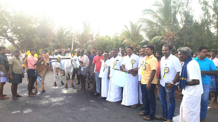 குளத்தூரில் மாட்டு வண்டி பந்தயத்தில் சீறி பாய்ந்த காளைகள் - முன்னாள் எம்எல்ஏ சின்னப்பன் கொடியசைத்து தொடங்கி வைத்தார்!

