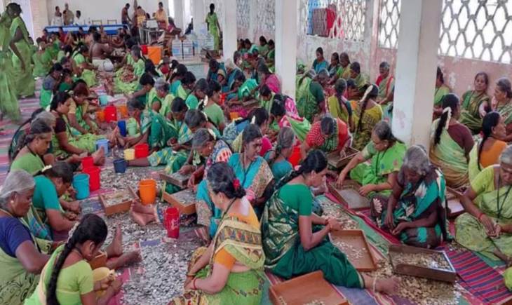 திருச்செந்தூர் சுப்பிரமணிய சுவாமி கோவிலில் உண்டியல் வருமானம் ரூ.1.87 கோடி!

