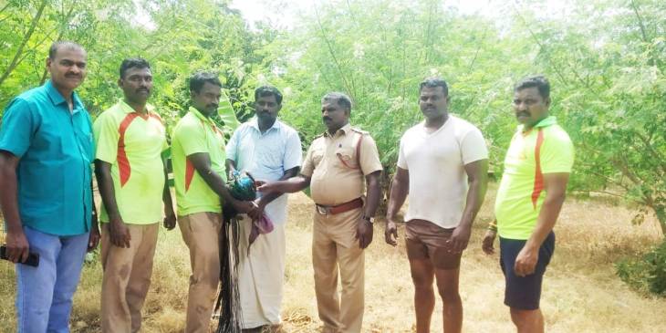 சாத்தான்குளம் அருகே 70 அடி கிணற்றில் விழுந்து உயிருக்கு போராடிய மயில் மீட்பு!
