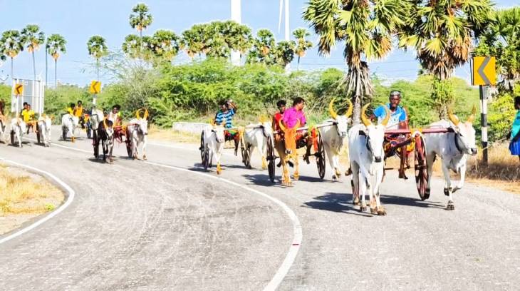 எப்போதும்வென்றானில் மாட்டு வண்டி எல்கை பந்தயம் -  சீறிப்பாய்ந்த காளைகள்!