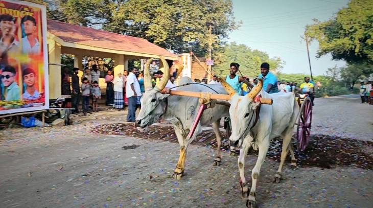 தெற்குசிலுக்கன்பட்டி மாட்டு வண்டி எல்கை பந்தயம் : சீறிப்பாய்ந்த காளைகள்!