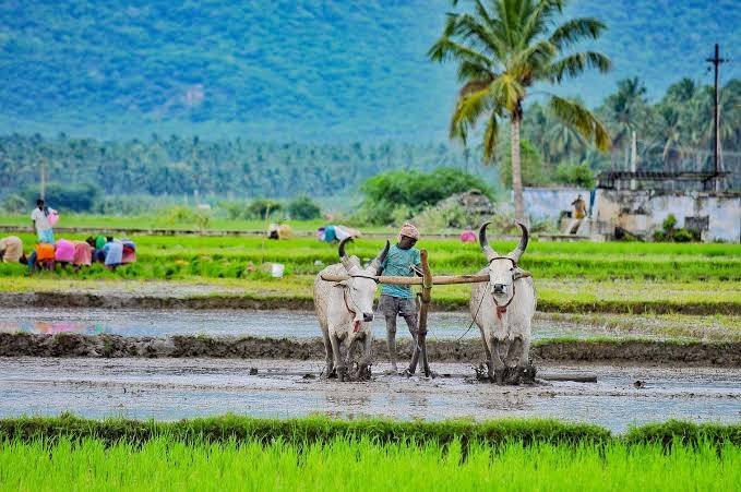 தூத்துக்குடி மாவட்ட விவசாயிகளுக்கு வெளியான முக்கிய அறிவிப்பு
