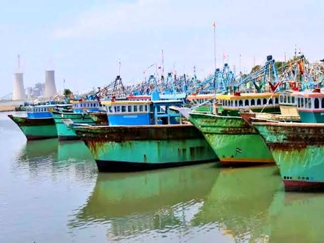 தூத்துக்குடியில் விசைப்படகு மீனவர்கள் கடலுக்கு மீன்பிடிக்க செல்லவில்லை என்பது தொியுமா?