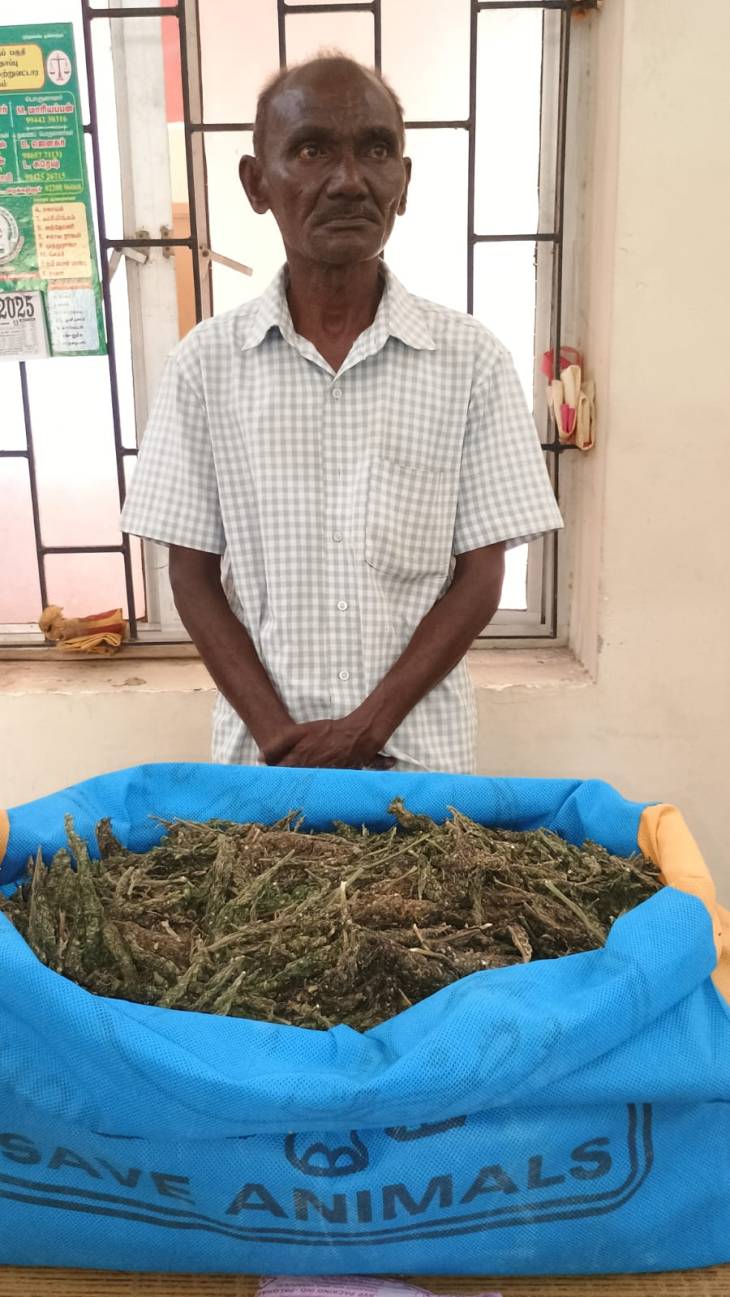 தூத்துக்குடியில் கஞ்சா...  3 கிலோ 300 கிராம் கஞ்சாவோடு ஒருவர் கைது!