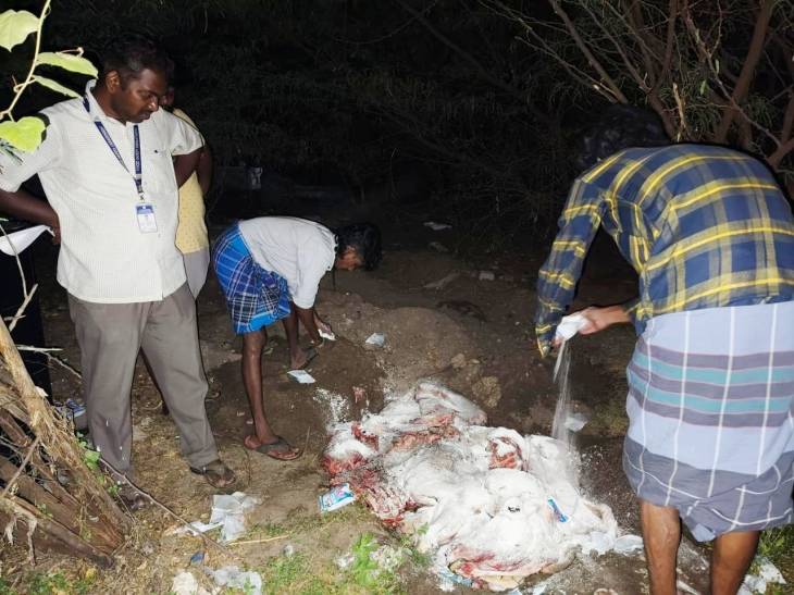 தூத்துக்குடியில் அதிர வைத்த மாட்டு இறைச்சி விவகாரம்... உணவு பாதுகாப்புத்துறை என்ன செய்தது? 

